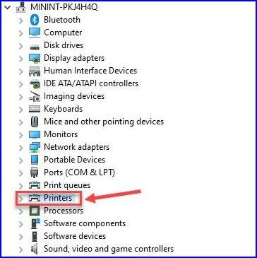 Device Manager- Click on printer option 