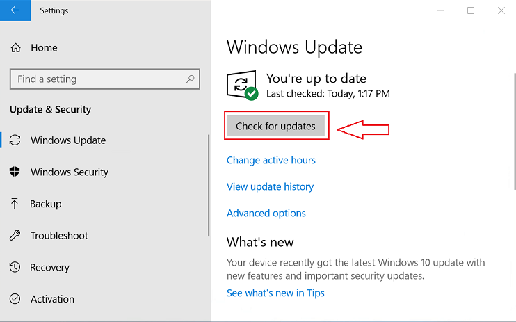 Window Update for Check for Updates