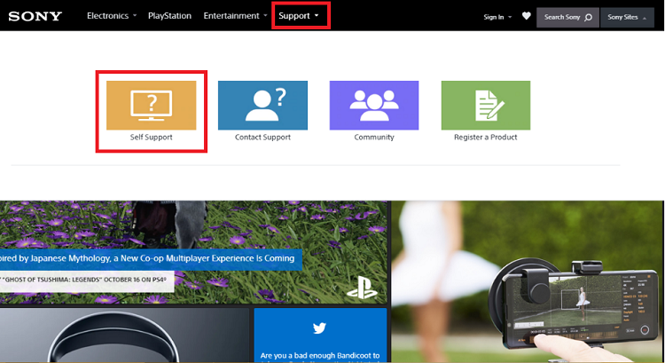 Click on Self Support option from sony official site
