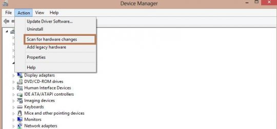 usb not showing up in device manager