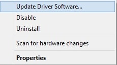 Select Update Driver Software