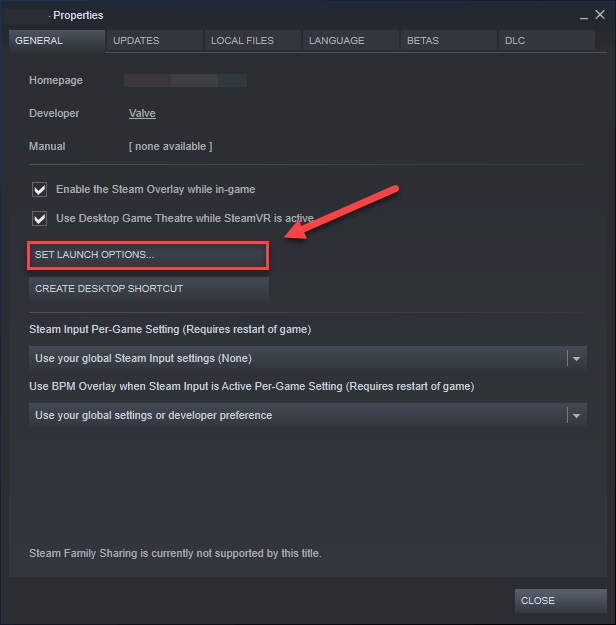 Click on the Set launch option