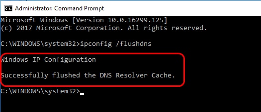 Windows IP configuration successfully flushes the DNS Resolver Cache