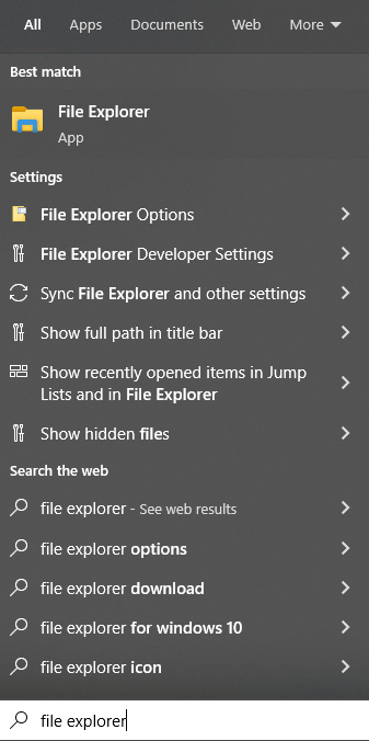 type File Explorer