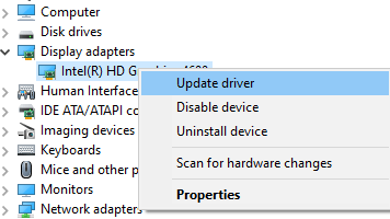 Click on the Display adapters driver option