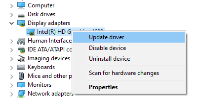 Click on the Display adapters driver option