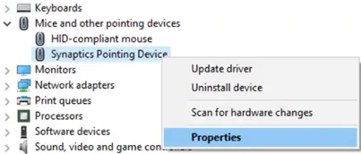 Driver Details Driver for Synaptics Pointing Device